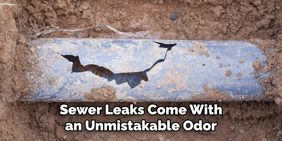 Sewer Leaks Come With an Unmistakable Odor