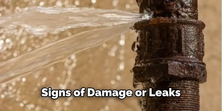 Signs of Damage or Leaks