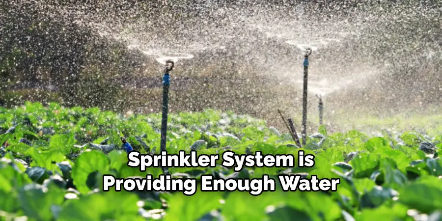 Sprinkler System is Providing Enough Water