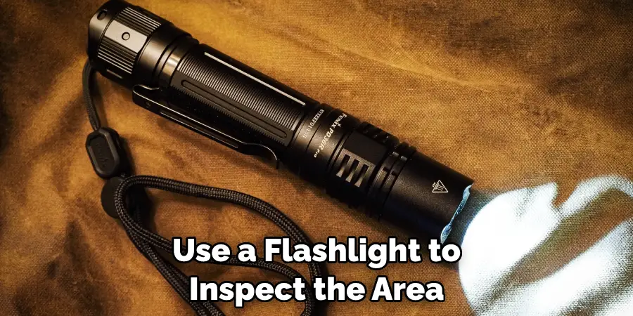 Use a Flashlight to Inspect the Area