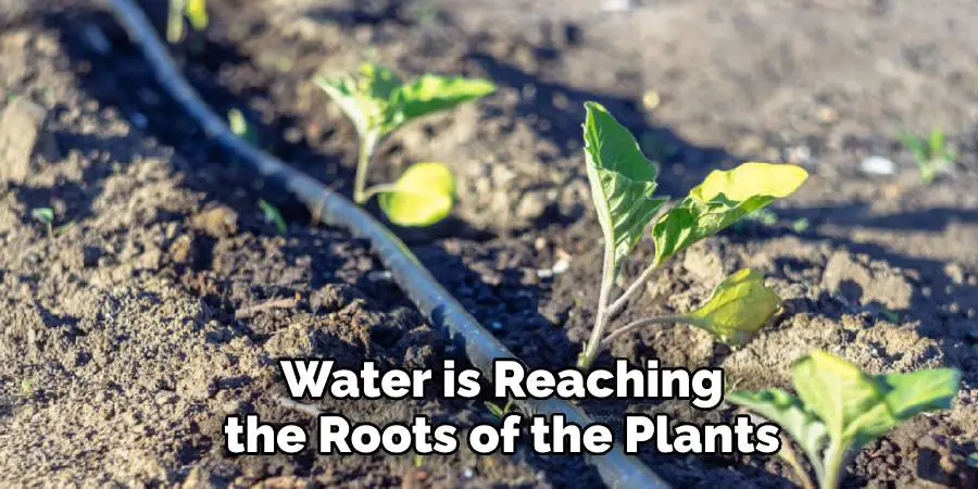 Water is Reaching the Roots of the Plants