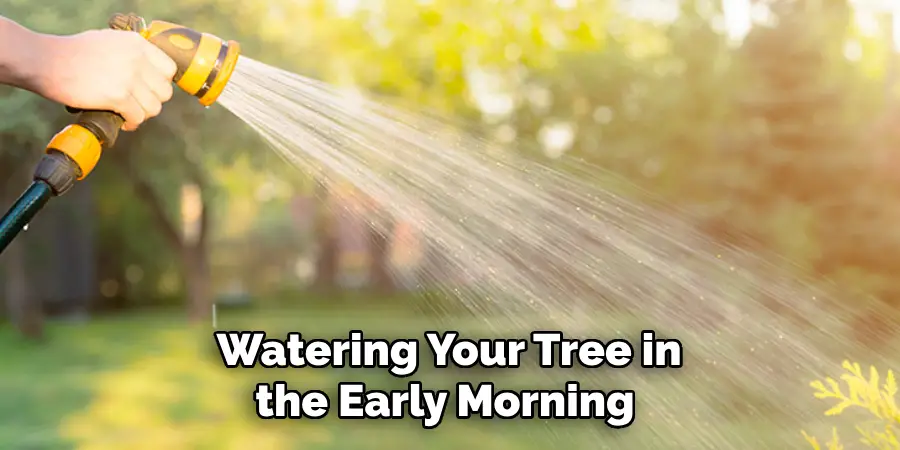  Watering Your Tree in the Early Morning 