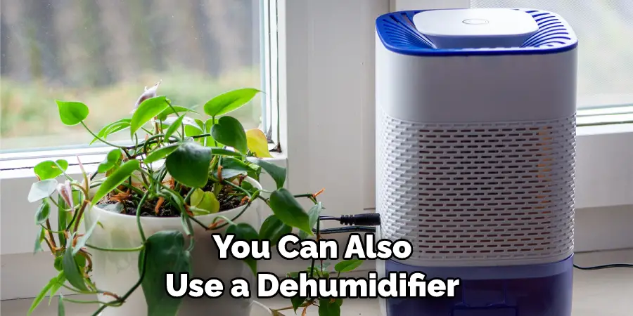 You Can Also Use a Dehumidifier