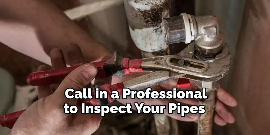 Call in a Professional to Inspect Your Pipes 