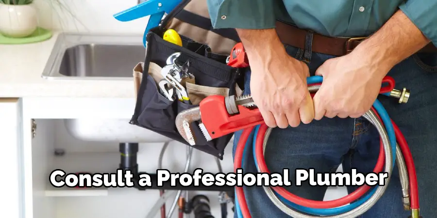 Consult a Professional Plumber