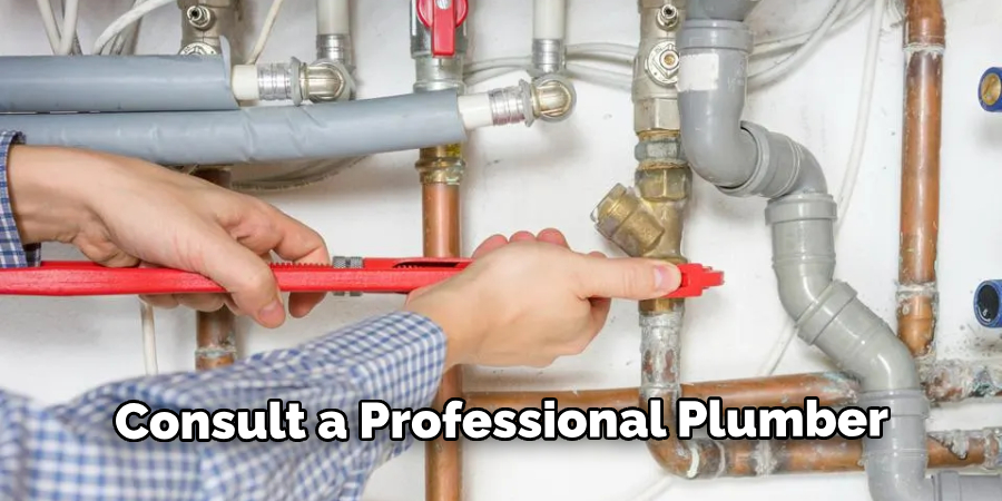 Consult a Professional Plumber