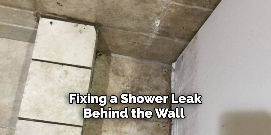 Fixing a Shower Leak Behind the Wall 