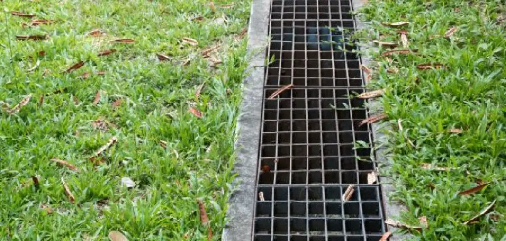 How to Clean Out Backyard Drains