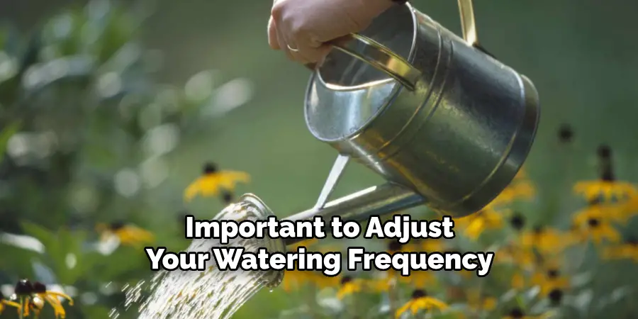 Important to Adjust Your Watering Frequency