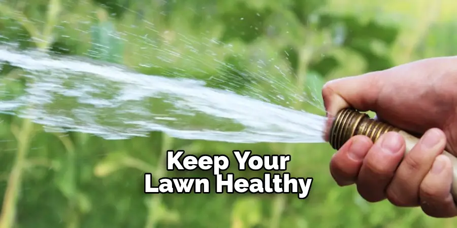 Keep Your Lawn Healthy