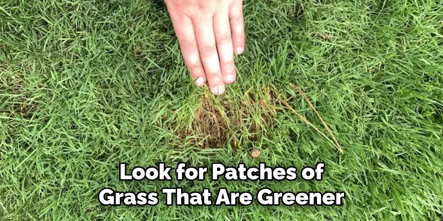 Look for Patches of Grass That Are Greener