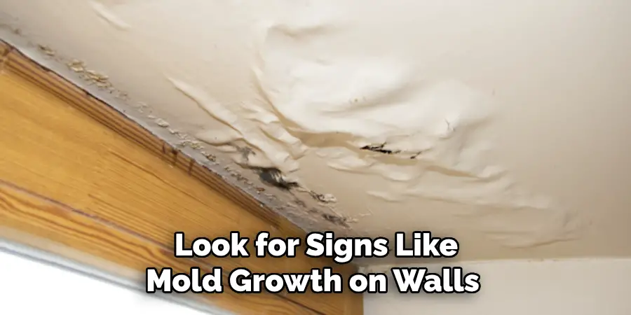 Look for Signs Like Mold Growth on Walls 