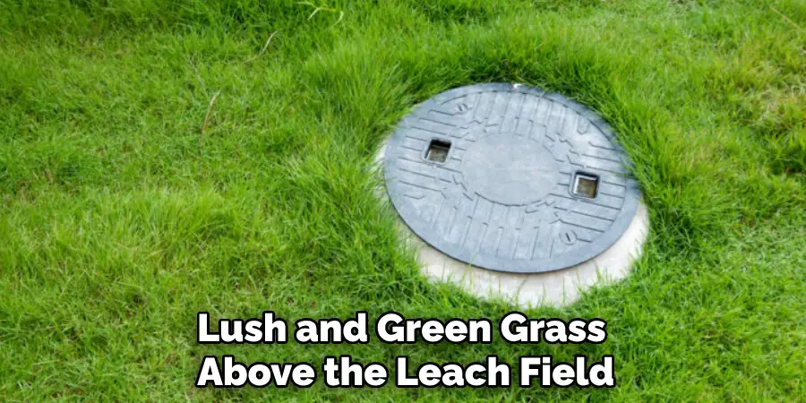 Lush and Green Grass Above the Leach Field
