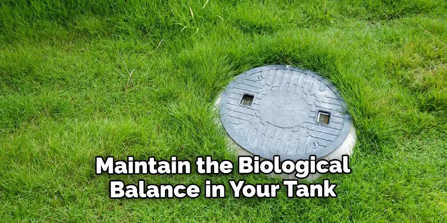 Maintain the Biological Balance in Your Tank