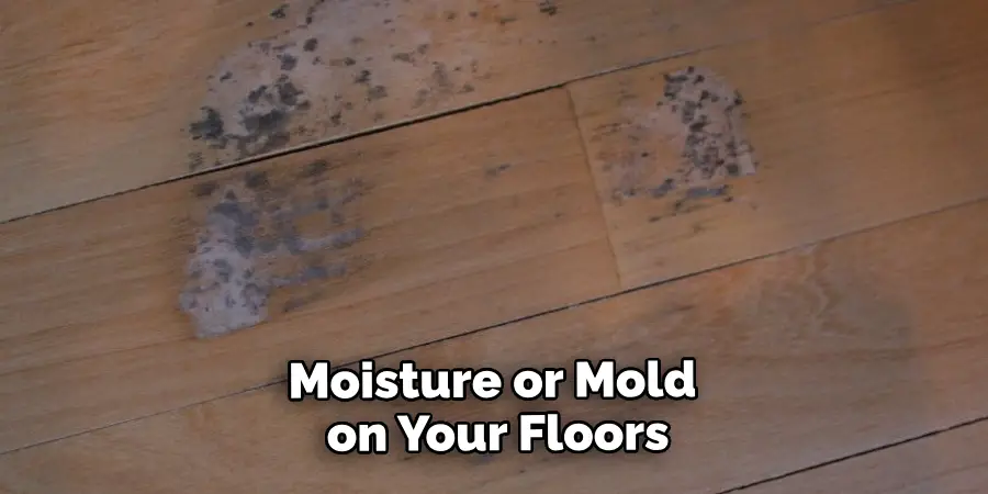 Moisture or Mold on Your Floors