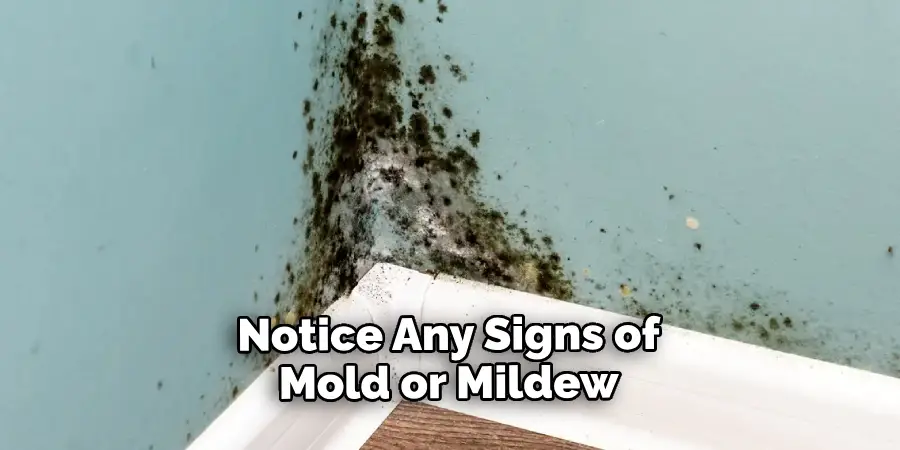 Notice Any Signs of Mold or Mildew