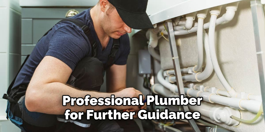 Professional Plumber for Further Guidance