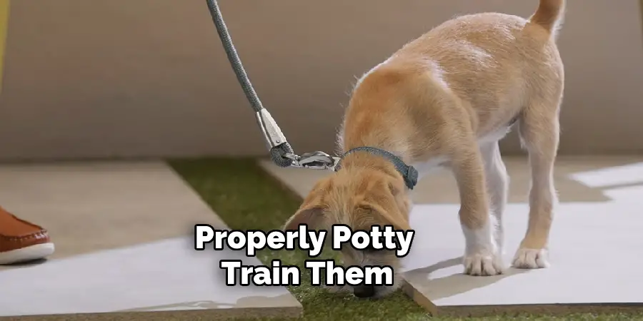 Properly Potty Train Them