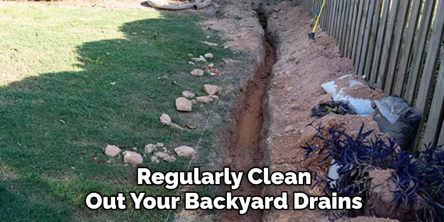 Regularly Clean 
Out Your Backyard Drains