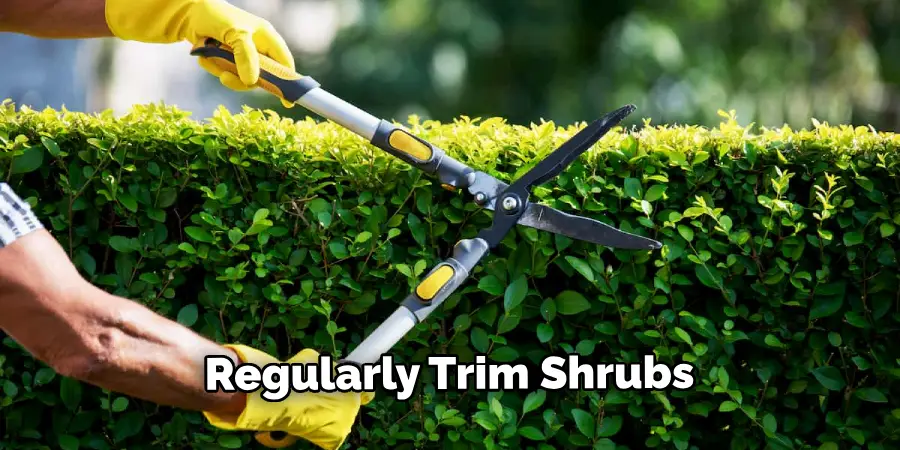 Regularly Trim Shrubs