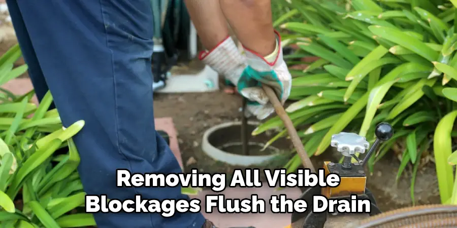 Removing All Visible Blockages Flush the Drain