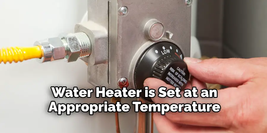 Water Heater is Set at an Appropriate Temperature