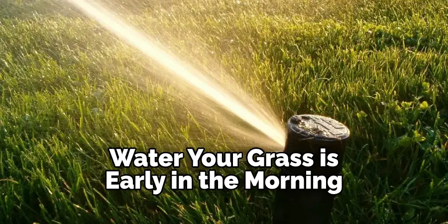 Water Your Grass is Early in the Morning