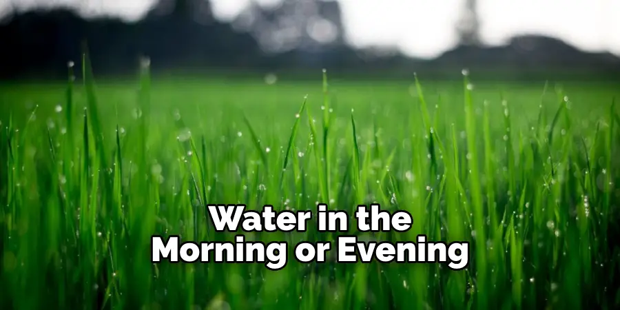 Water in the Morning or Evening