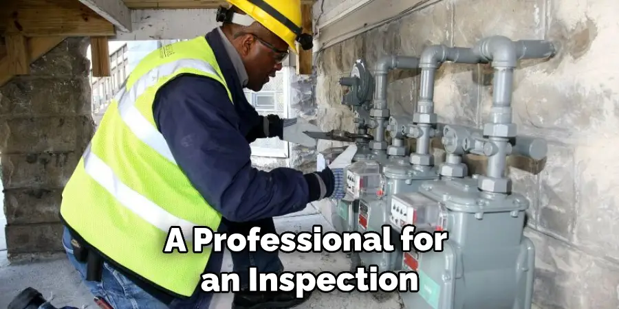 A Professional for an Inspection