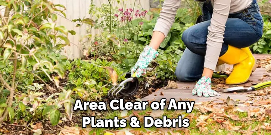 Area Clear of Any Plants, Debris