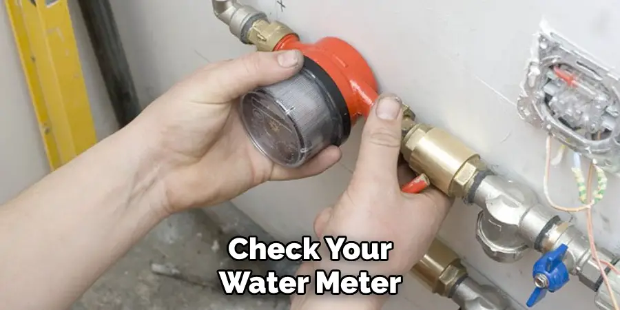 Check Your Water Meter