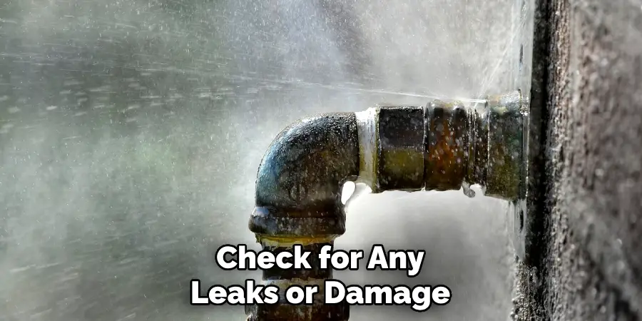 Check for Any Leaks or Damage