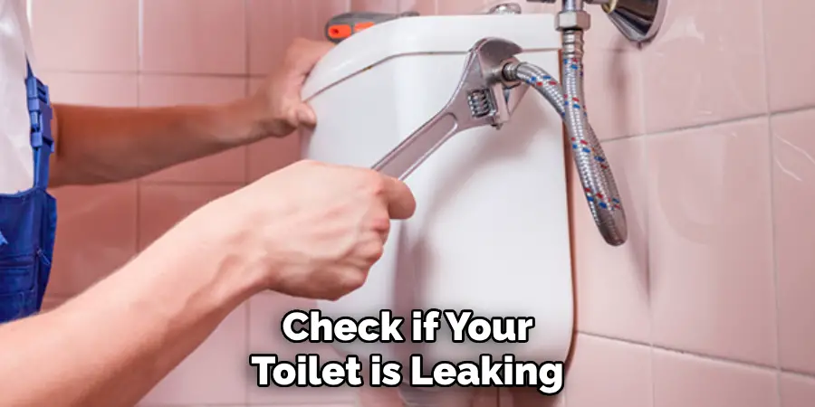 Check if Your Toilet is Leaking