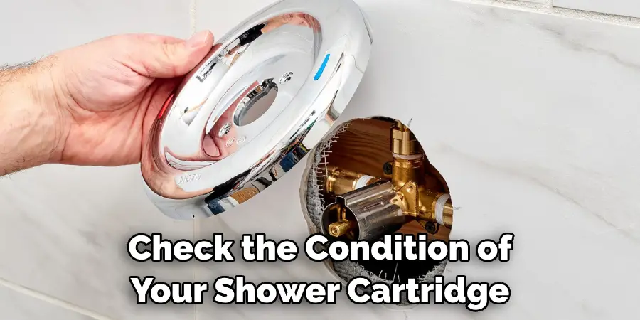 Check the Condition of Your Shower Cartridge