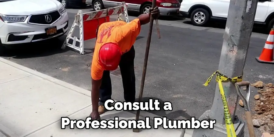 Consult a Professional Plumber