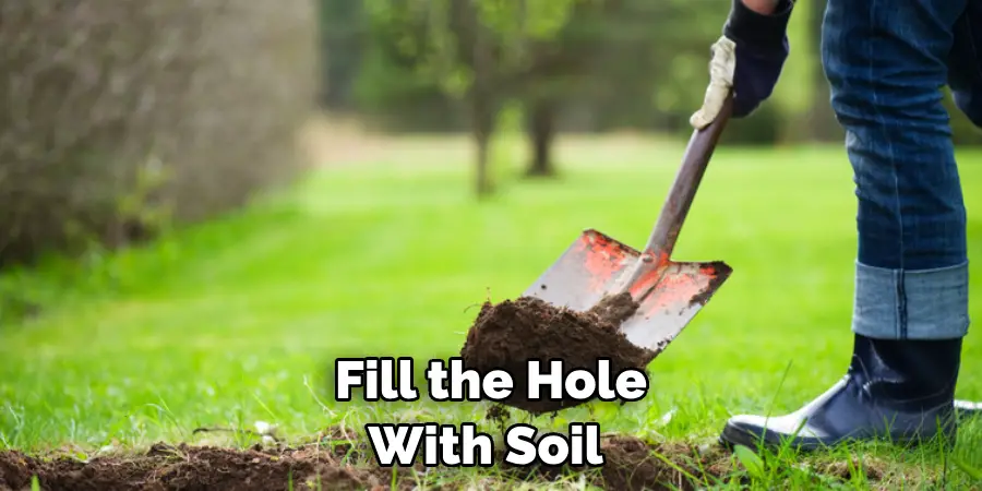 Fill the Hole With Soil 