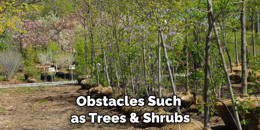 Obstacles Such as Trees & Shrubs