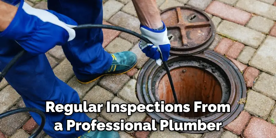 Regular Inspections From a Professional Plumber