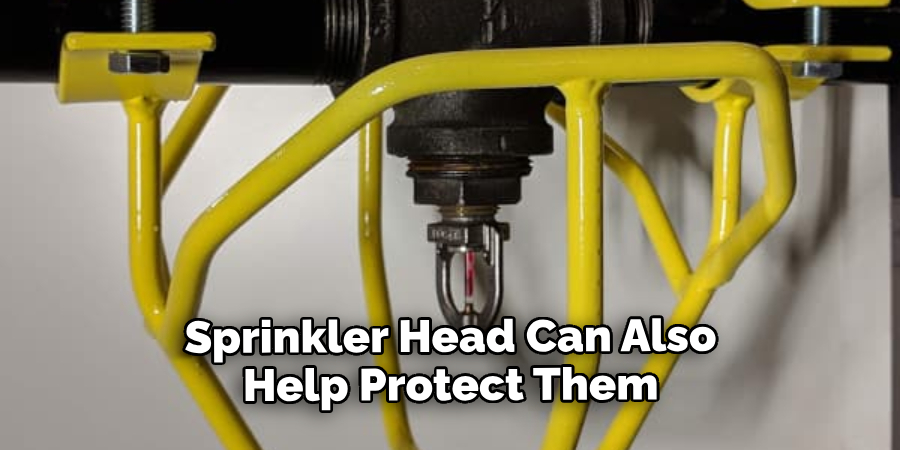 Sprinkler Head Can Also Help Protect Them