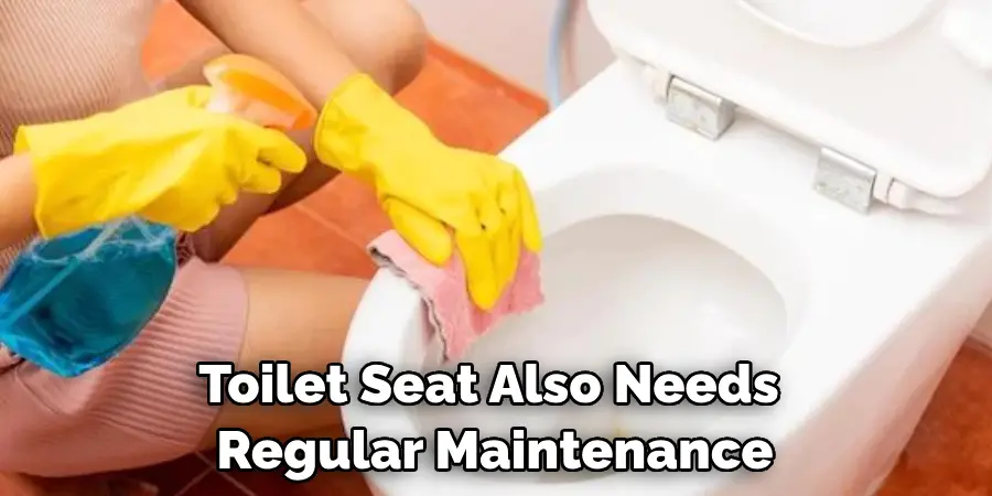 Toilet Seat Also Needs Regular Maintenance