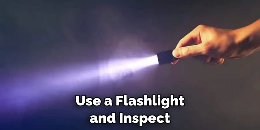 Use a Flashlight and Inspect