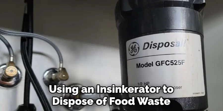 Using an Insinkerator to Dispose of Food Waste