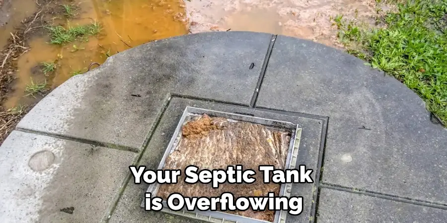 Your Septic Tank is Overflowing
