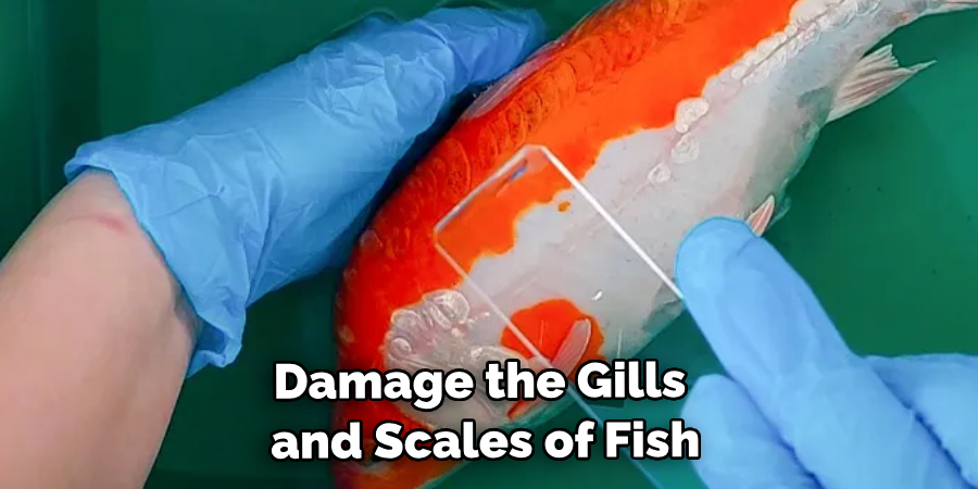 Damage the Gills and Scales of Fish