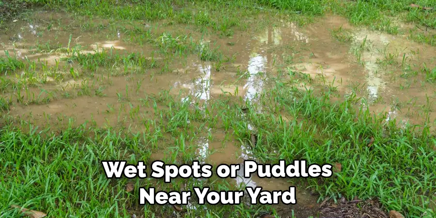 Wet Spots or Puddles Near Your Yard 