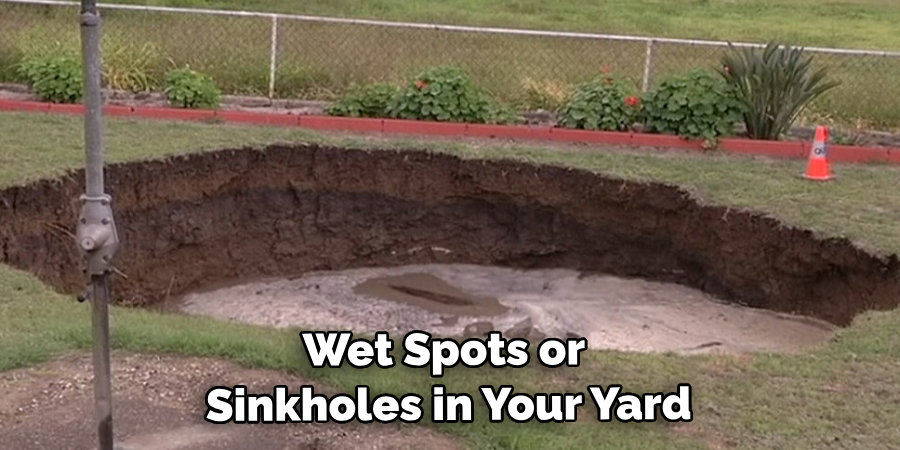 Wet Spots or Sinkholes in Your Yard