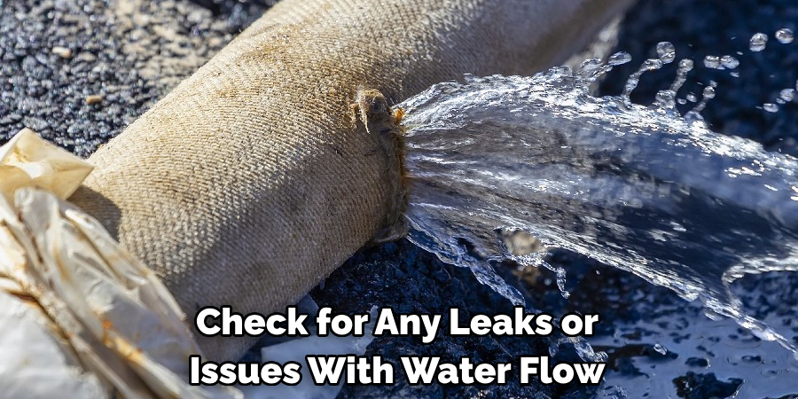 Check for Any Leaks or Issues With Water Flow