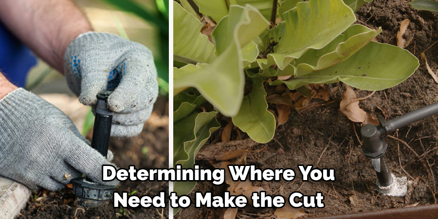 Determining Where You Need to Make the Cut
