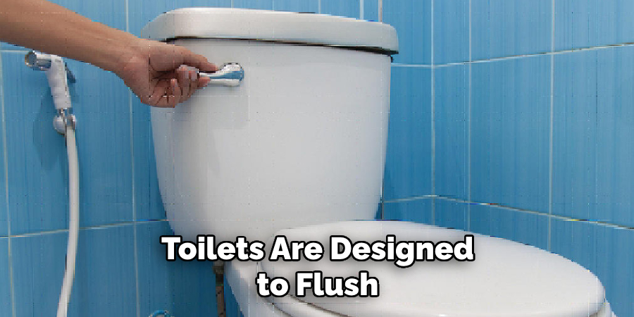 Toilets Are Designed to Flush