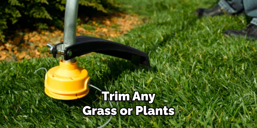 Trim Any Grass or Plants